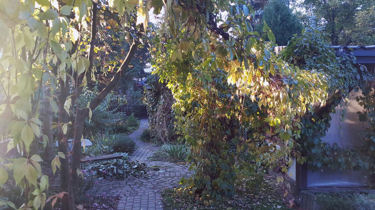 Pensjonat Europa Brzeziny Extérieur photo