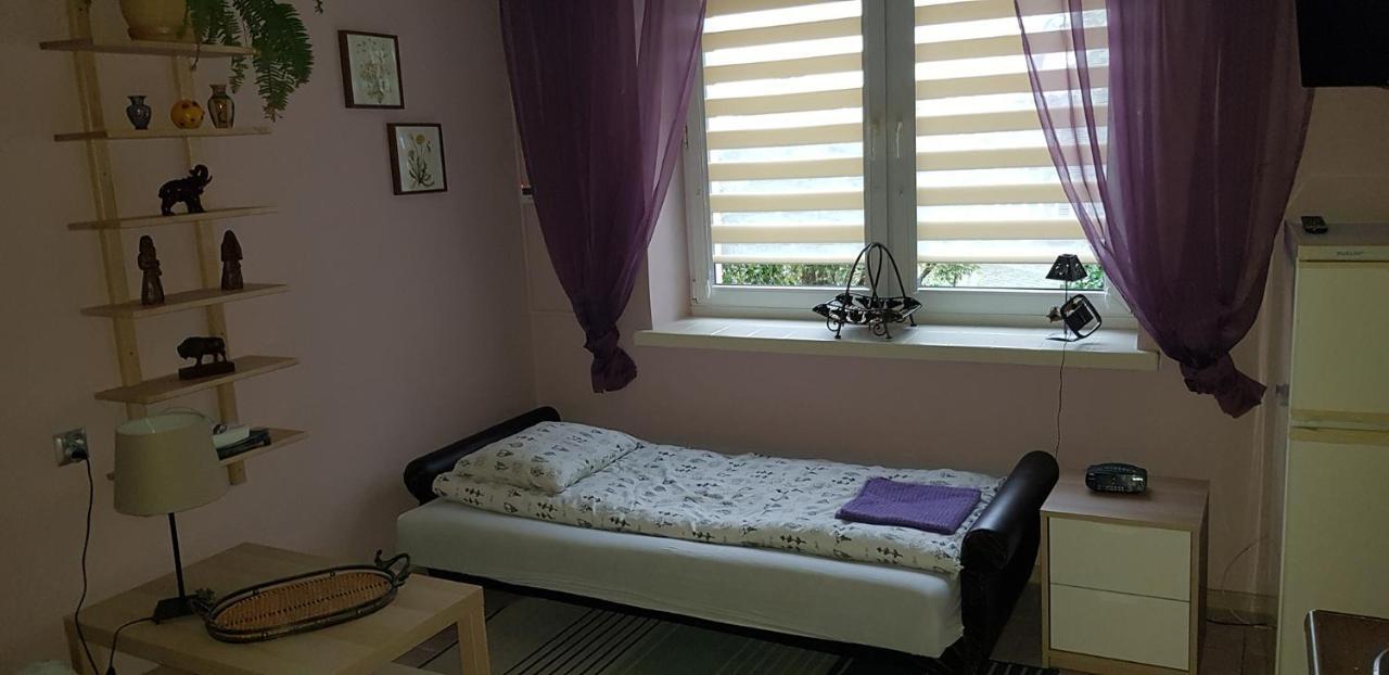 Pensjonat Europa Brzeziny Extérieur photo