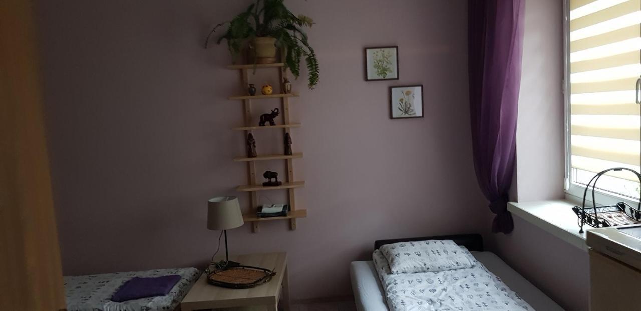 Pensjonat Europa Brzeziny Extérieur photo